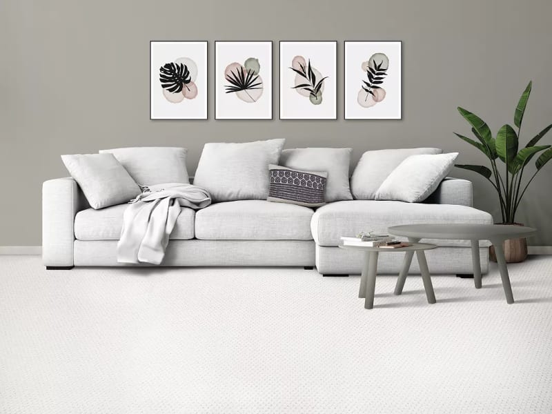 SmartStrand Carpet uses All Pet Technology