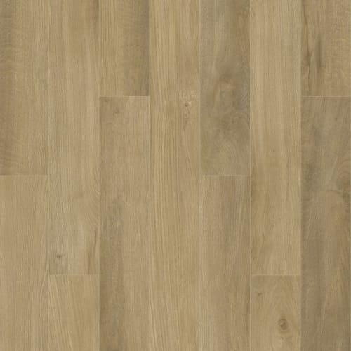 Boxwood Gables by Solidtech Essentials - Kenwood